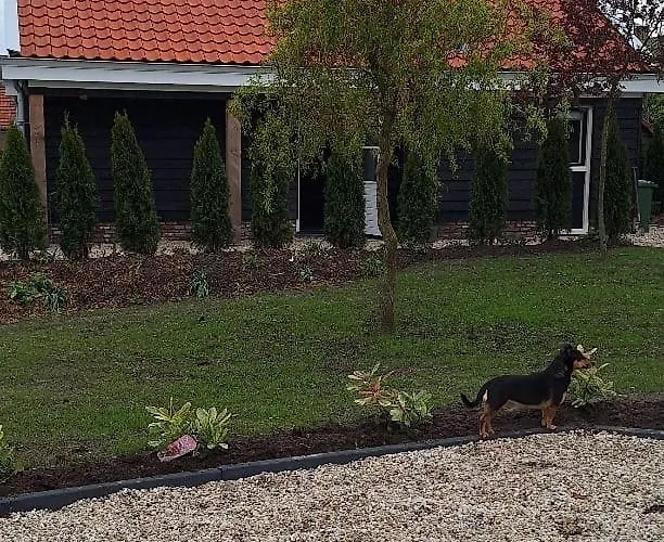 Vakantiehuis Gastenhuis Amstelmeerzicht. Westerland