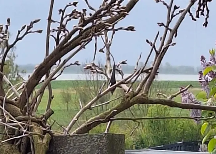 Gastenhuis Amstelmeerzicht.